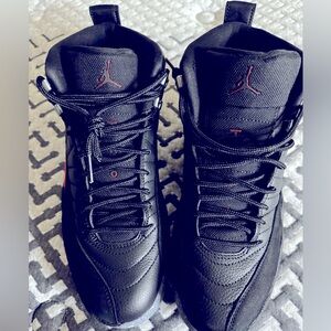 Jordan 12s retro